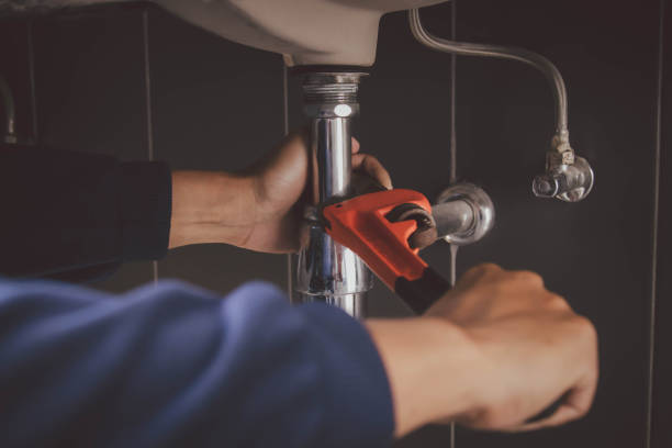 Best Local Plumber Services  in Fobes Hill, WA